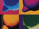 U2 Lemon 12