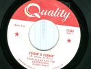 CANADIAN 45 CHAD ALLAN AND THE EXPRESSIONS(GUESS WHO?)