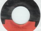 ANTHONY ROCKY ELLIS--I AM THE RULER---REGGAE--LISTEN