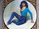 KATE BUSH Kick Inside RARE Picture Disc Lp 1978