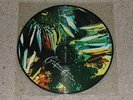 Cocteau Twins Unrealised Dreams Picture Disc 12
