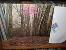 TWINK think pink US ORIGINAL PSYCH LP