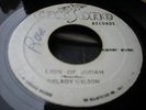 Delroy Wilson-Lion Of Judah RARE ROOTS REGGAE 45 LISTEN