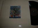 TALK TALK - SPIRIT OF EDEN