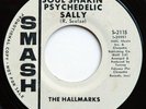 HALLMARKS-Soul Shakin Psych Sally 45 BFTG garage PROMO