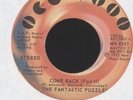 THE FANTASTIC PUZZLES-COME BACK PTS. 1 & 2-7
