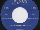 EMERALDS - You're Driving Me Crazy   RARE DOO-WOP R&B