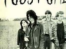 pussy galore groovy hate f**k lp original