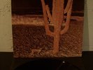 INDIAN SUMMER S/T ORIGINAL NEON RARE PSYCH 1971