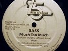 RARE Modern soul  SASS : much too much    Listen