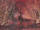 LP ZIOR - SAME - PROGRESSIVE MONSTER - SUPERRAR