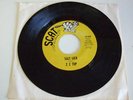 ZZ Top - Salt Lick/ Miller's Farm 45 - out of print