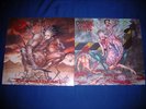 CANNIBAL CORPSE Bloodthirst LP ´99 RARE death gorguts