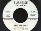 THE BELMONTS-45-DOO WOP-TELL ME WHY-SURPRISE 1000/PROMO