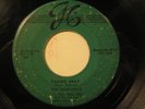 CAROUSELS 45 Fading Away G.C. rare doo wop HEAR