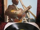 MUDDY WATERS At Newport 1960 LP