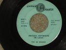 RARE 45 record Ohio Garage United Audio THE ES SHADES