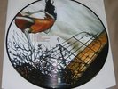 Circa Survive Juturna LIMITED EDITION Picture Disc / LP