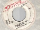 TOOTS &THE MAYTALS reggae got soul DYNAMIC 45