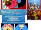 LP Rufus Zuphall: Phallobst (Pilz)