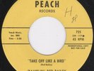 Rockabilly 45-Ramblin' Red Bailey-Take Off Like A Bird