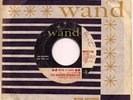 MOVING SIDEWALKS 99th Floor 1966 TEXAS GARAGE 45 ZZ TOP