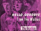 Beatles Norwegian 45 Hello, Goodbye Norway R 5655