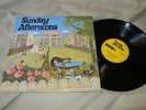 sunday afternoons, orig uk private folk rock lp