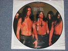 DISMEMBER Like an ever flowing stream Picture Vinyl rar