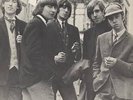 LP DOWNLINERS SECT - THE SECT - UK ORIGINAL - RAR