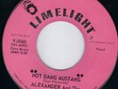GARAGE ROCKER / ROCKABILLY- ALEXANDER & GREATS  (HEAR)