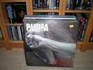 PANTERA-VULGAR DISPLAY OF POWER LP FIRST PRESS