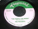 Rare WI Garage Rocker 45 The Peasants RAYNARD L K