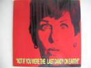 BRIAN JONESTOWN MASSACRE- LAST DANDY EARTH LTD RARE