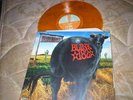 BLINK 182 DUDE RANCH ORANGE VINYL LP RECORD. ONLY 500
