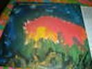 MEAT PUPPETS II LP PUNK W PETTIBONE INSERTS BLACK FLAG
