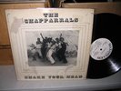 rare 1978 funk:  The Chapparrals- Shake Your Head LP