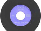 RARE ROCKABILLY 45 - Ray Hudson on Dixie 1043