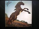 WOODEN HORSE 