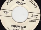 NORTHERN SOUL 45 RPM - BUDDY LAMP on ABC-PARAMOUNT