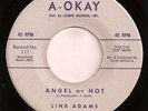 rare doo wop teen 45 Link Adams on A-Okay LISTEN