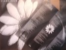CARDIACS A LITTLE MAN ALPHABET BUSINESS CONCERN INSERT