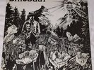 Dinosaur Self Titled  LP Original1985 Homestead