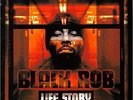 BLACK ROB - LIFE STORY - Rap -  New 2000 Double LP