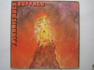 BUFFALO-VOLCANIC ROCK VERTIGO SWIRL RARE GREAT COPY