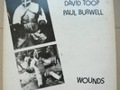 LP DAVID TOOP / PAUL BURWELL 