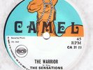THE SENSATIONS - WARRIOR /DON JUAN - JOHNY ORGAN
