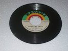 TAFARI/FORWARD ON A YARD - LEROY SIBBLES [ROOTS] 7