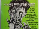 IT CAME FROM SLIMEY VALLEY ghetto way LP PUNK indie '84