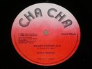 PETER BROGGS NEVER FORGET JAH RARE ROOTS ORG